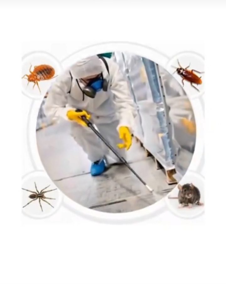 Pest control technician treating a residential property