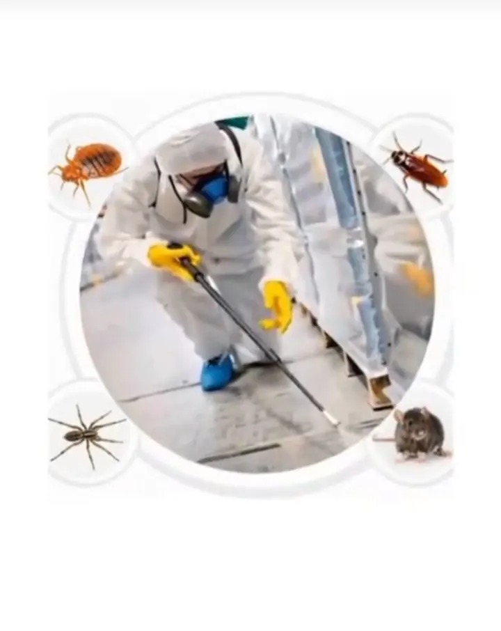 Pest control technician and safety equipment in Kenya