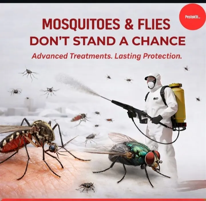 Mosquito and fly control service illustration