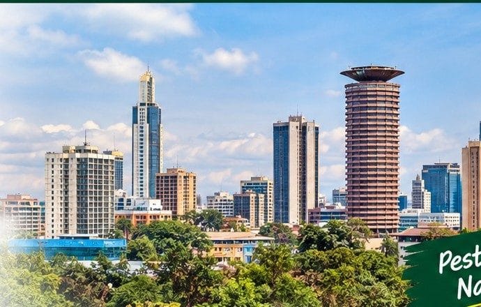 Pest control service in South B, Nairobi